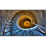 P484 48IN LCD Public DISP MNTR