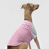 Canada Pooch Not Your Basic Tee, Nautical Red, Size 24