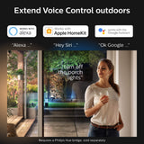 Philips Hue 1743530V7 Discover Floodlight, Black