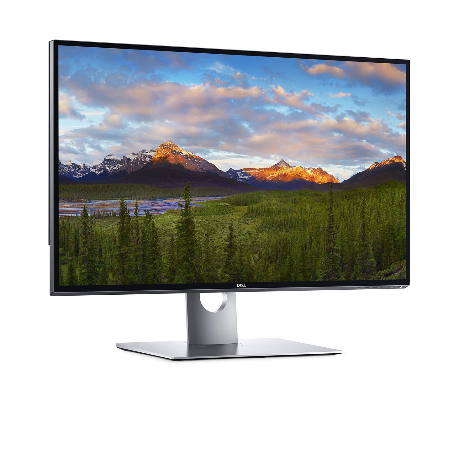 DELL E1916H 19-Inch Screen LED-Lit Monitor, Black