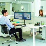 Fellowes Professional Series Free-Standing Dual Horizontal Monitor Arm (8043701)