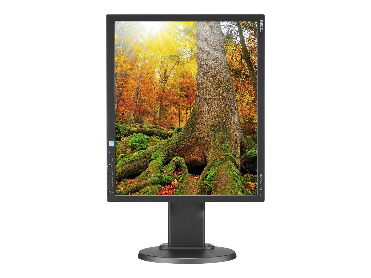 NEC Display EA193MI-BK MultiSync 19'' LED-Backlit LCD Monitor, Black
