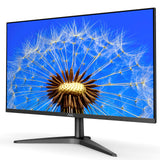 AOC 24B1XH 23.8" WLED LCD Monitor - 16:9-8 ms