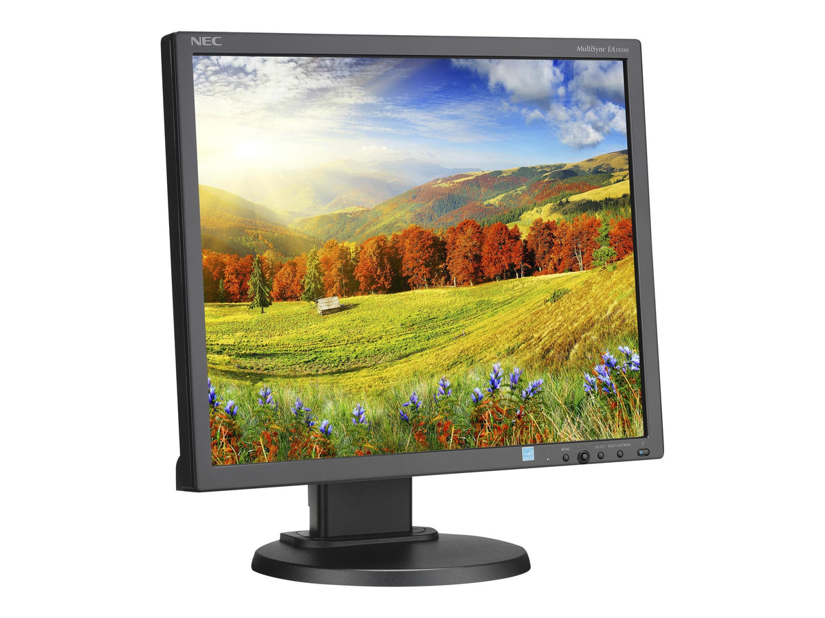 NEC Display EA193MI-BK MultiSync 19'' LED-Backlit LCD Monitor, Black