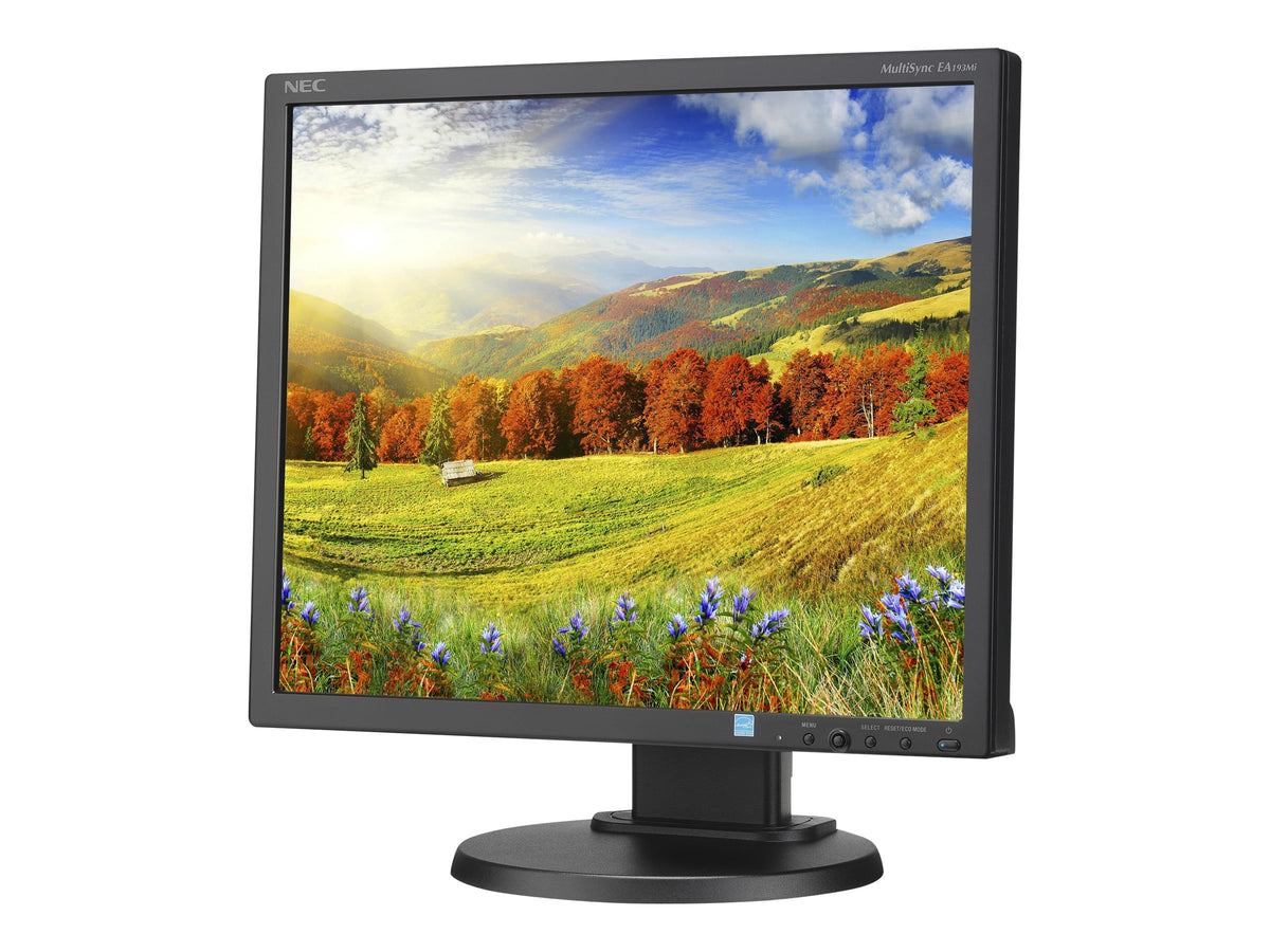 NEC Display EA193MI-BK MultiSync 19'' LED-Backlit LCD Monitor, Black