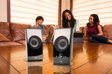 Cyber Acoustics 2.0 POWERED SPEAKER SYSTEM