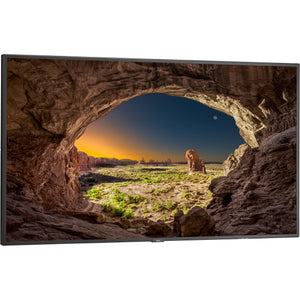 NEC V554 V Series - 55" Class (55" viewable) LED Commercial Display